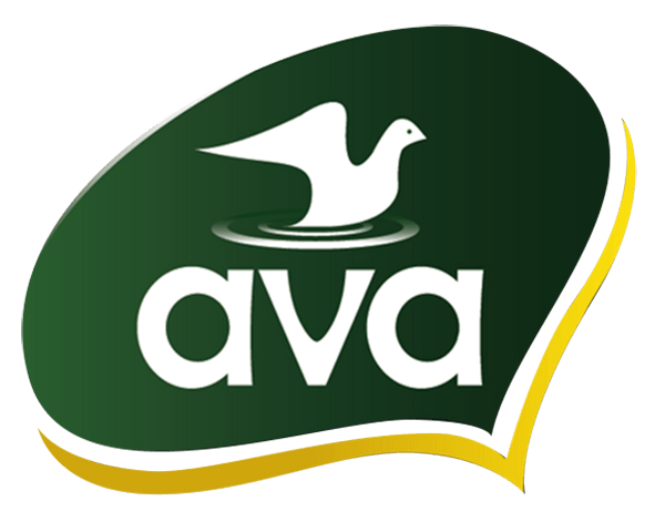 GKV Investments