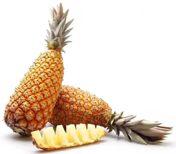 Ananas Pain de Sucre