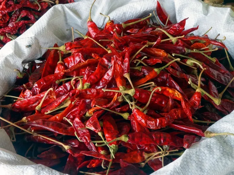 Piment de Cayenne Séché