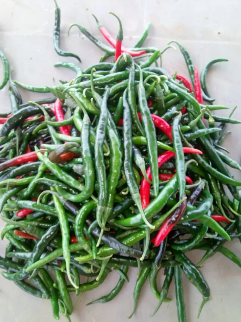 Piment de Cayenne Frais