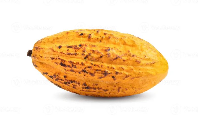 Fèves de Cacao Brutes