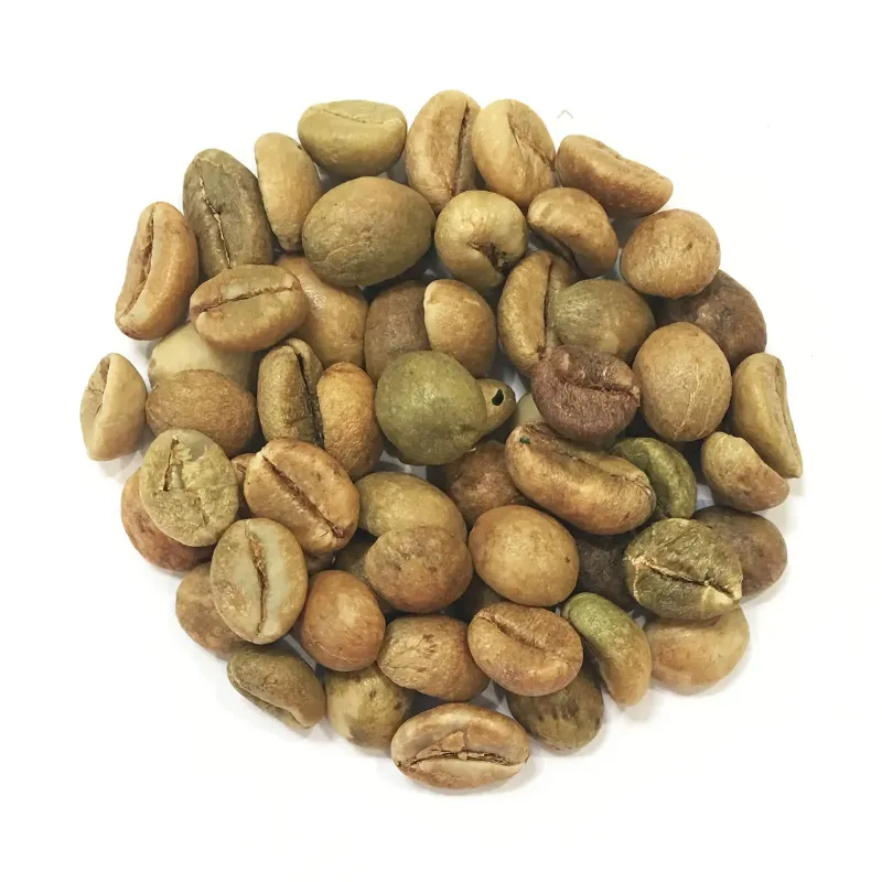Café Vert Robusta