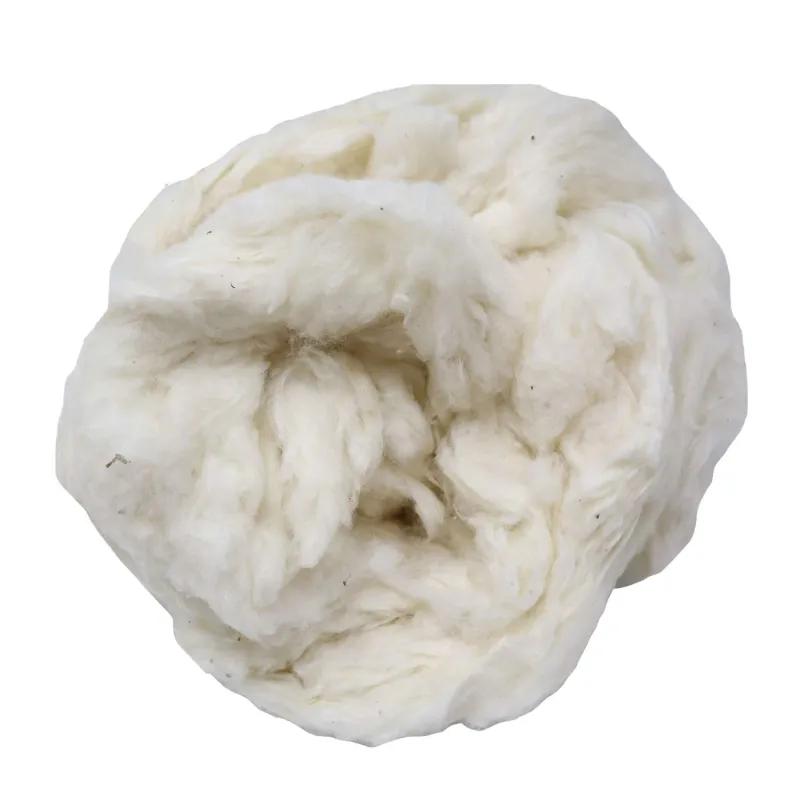 Coton Brut Égrené