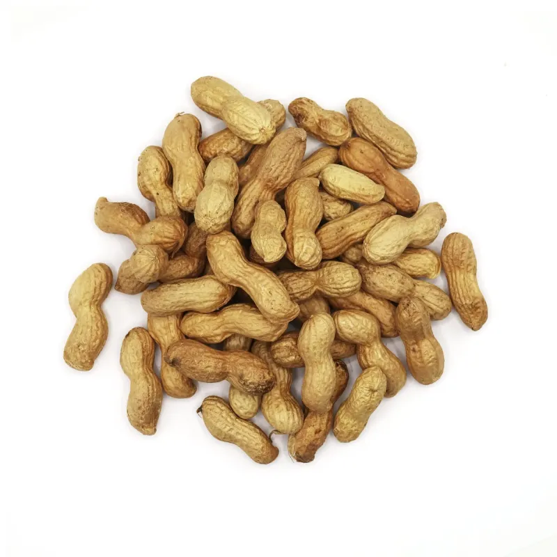 Gousses d'Arachide