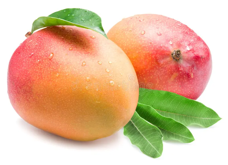 Mangue Brooks